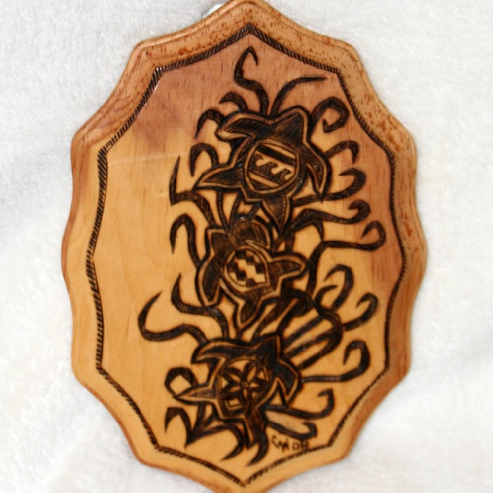 Wood burned Turtle Inspired Art